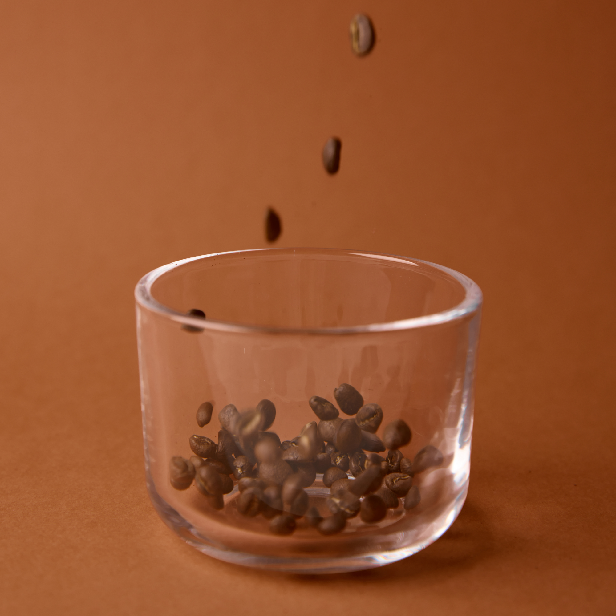 Atelier dégustation Habari Coffee à Lille, présentation de grains de café de spécialité dans un verre