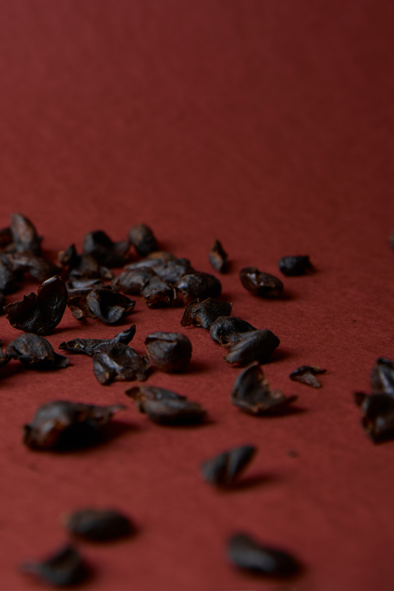 Cascara - Infusion de cerise de café