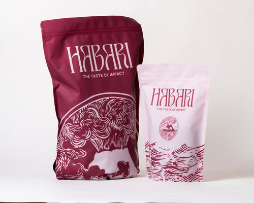 Torrefacteur cafe spécialite formation machine a grain